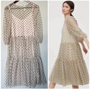 H&M Polka Dot Flock Print Mesh Dress